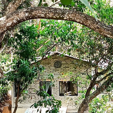 Eden Los Abuelos 2 - Casa Privada En Minca Nature Dış mekan fotoğraf