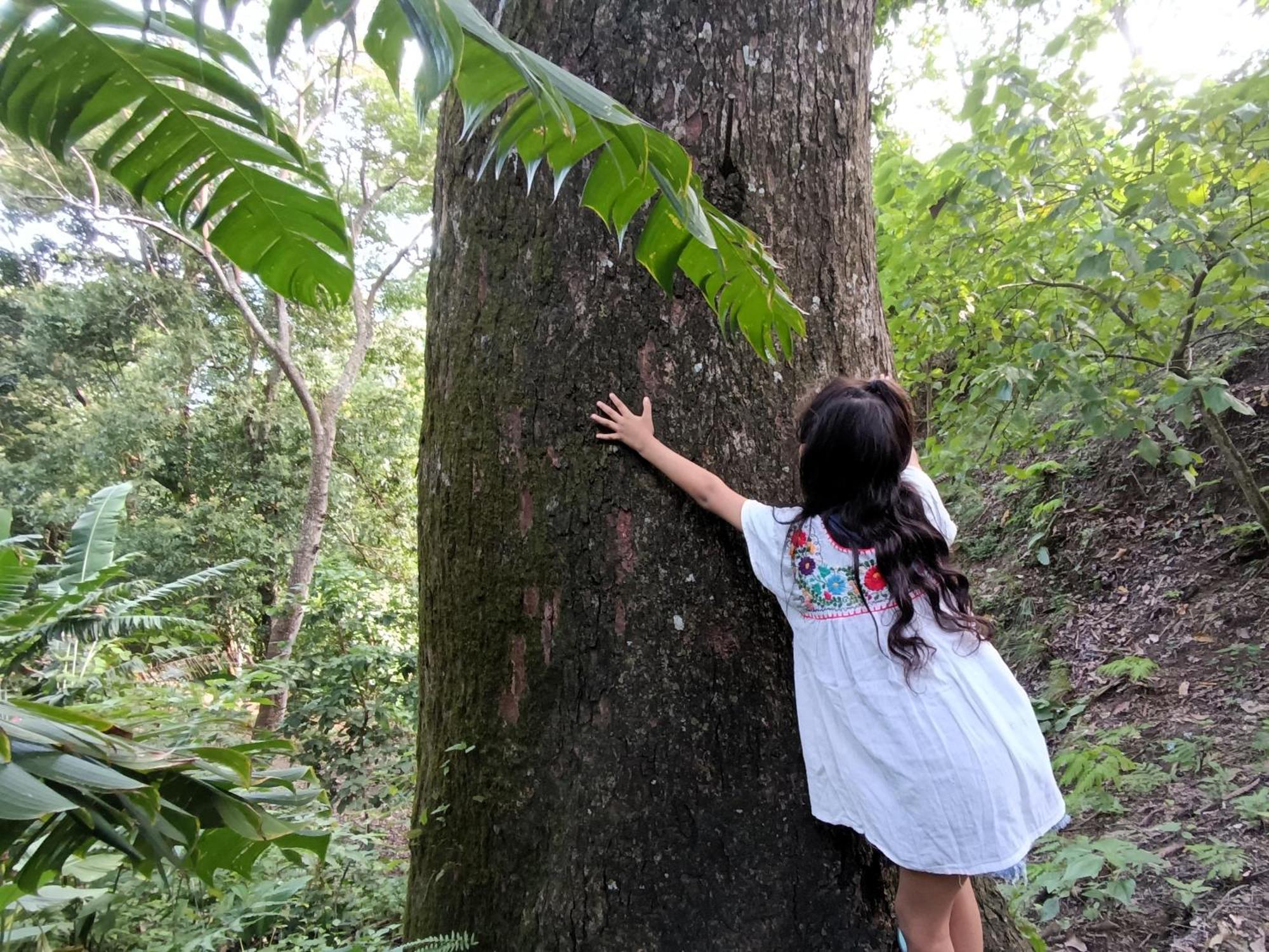 Eden Los Abuelos 2 - Casa Privada En Minca Nature Dış mekan fotoğraf