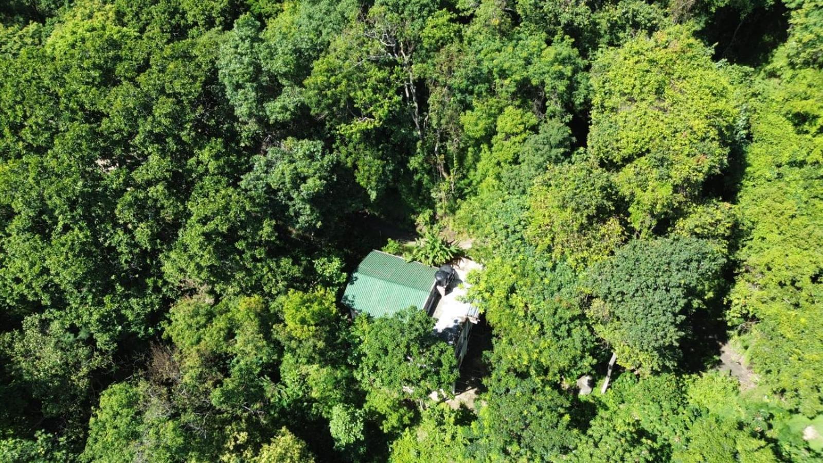 Eden Los Abuelos 2 - Casa Privada En Minca Nature Dış mekan fotoğraf